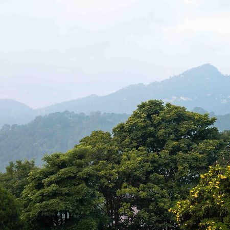 The Fern Surya Resort Kasauli Hills, Dharampur Eksteriør billede